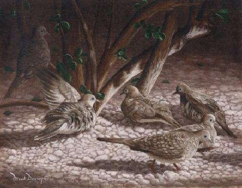 "Honolulu Doves" original oil painting of doves in Hawaii