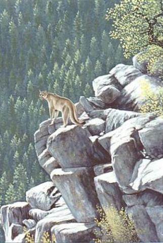"Cougar on the Rocks" original oil painting of a cougar in the mountains