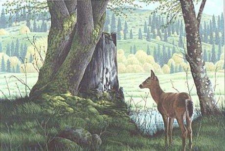 "Deer Respite" original oil painting of a deer at the edge of a clearing