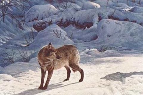 "Deja vu" winterscape painting of a wolf and an unknown shadow