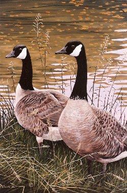 "Two's a Pair" painting of Canada Geese by water