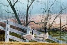 "Canada Geese" painting of two geese walking along fence line in the woods