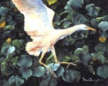 "Cattle Egret" oil painting of a cattle egret in flight