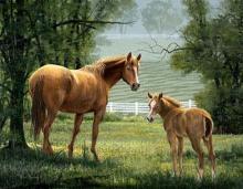 "Country Look" original oil painting of mare and colt in a beautiful country setting