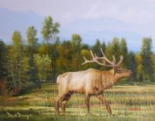 "Smoky Mountain Elk" original oil painting of elk in Cades Cove