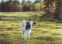 "Holstein Heifer" oil painting of a holstein heifer cow in the field