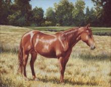 "Golden Field" original oil painting of a horse standing in a field