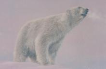 "Frosty Morn" oil painting of a polar bear on a cold winter's day