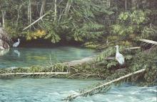 "Sandhill Cranes" oil painting of sandhill cranes standing by the river