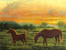 "Warm Relations" horse painting of a mare and frisky colt sunset hour